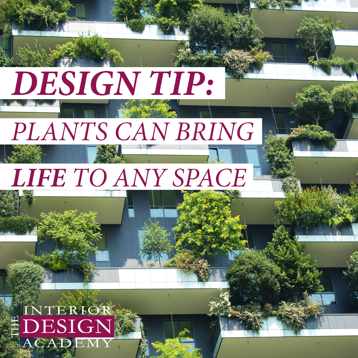 Plants Bring Life